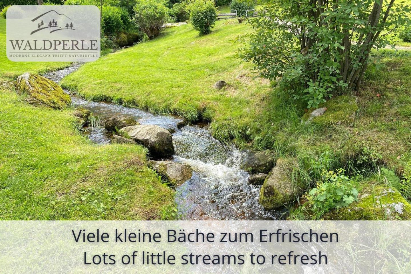 Exklusives 5-Sterne Apartment Waldperle Mit Indoor-Pool, Sauna, Top Lage Und Ausblick In Die Natur, Hunde Willkommen Schonach im Schwarzwald Exterior foto