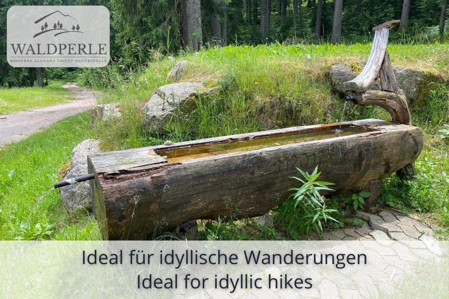 Exklusives 5-Sterne Apartment Waldperle Mit Indoor-Pool, Sauna, Top Lage Und Ausblick In Die Natur, Hunde Willkommen Schonach im Schwarzwald Exterior foto