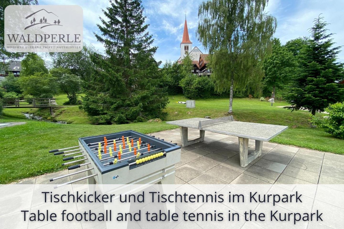Exklusives 5-Sterne Apartment Waldperle Mit Indoor-Pool, Sauna, Top Lage Und Ausblick In Die Natur, Hunde Willkommen Schonach im Schwarzwald Exterior foto