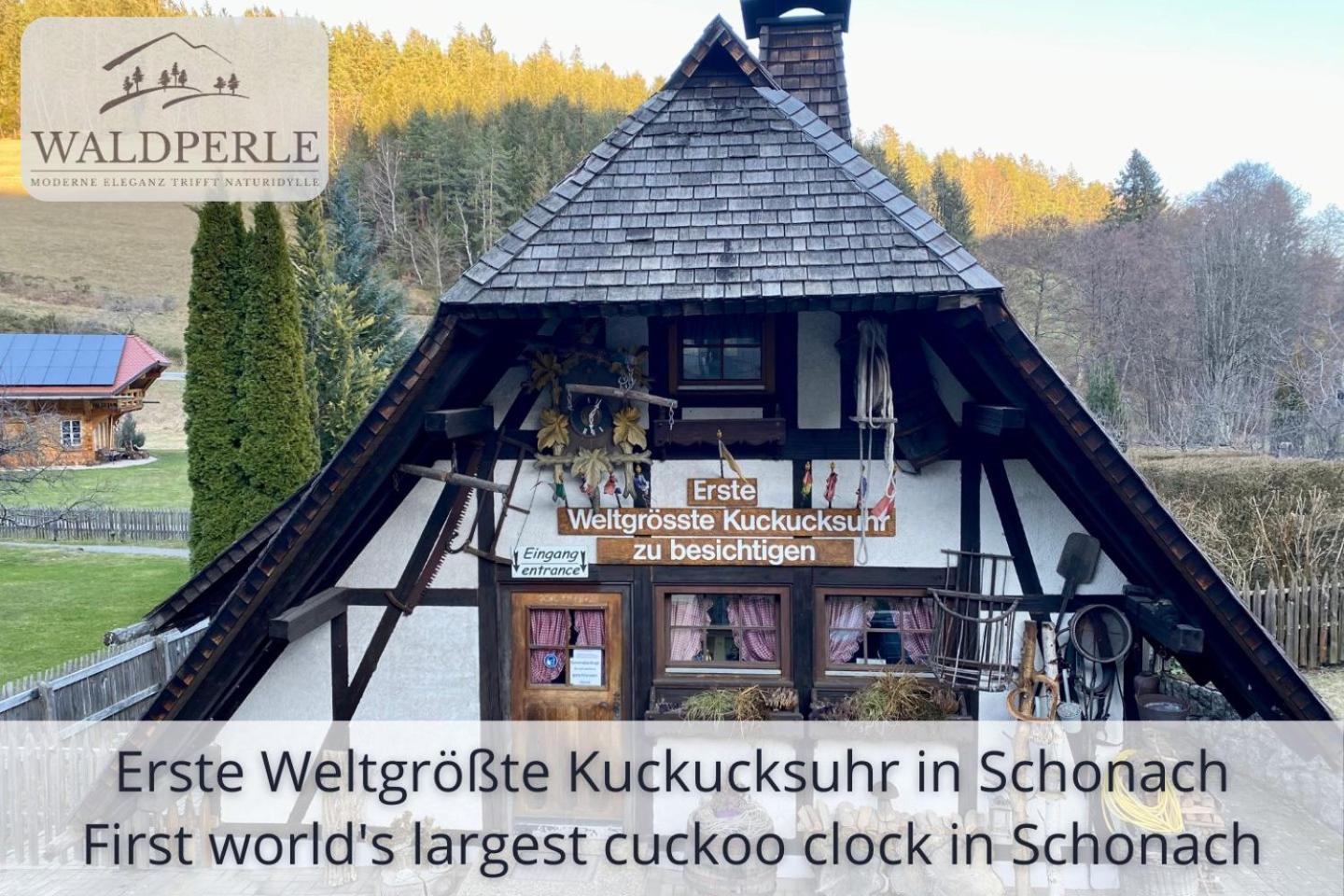 Exklusives 5-Sterne Apartment Waldperle Mit Indoor-Pool, Sauna, Top Lage Und Ausblick In Die Natur, Hunde Willkommen Schonach im Schwarzwald Exterior foto