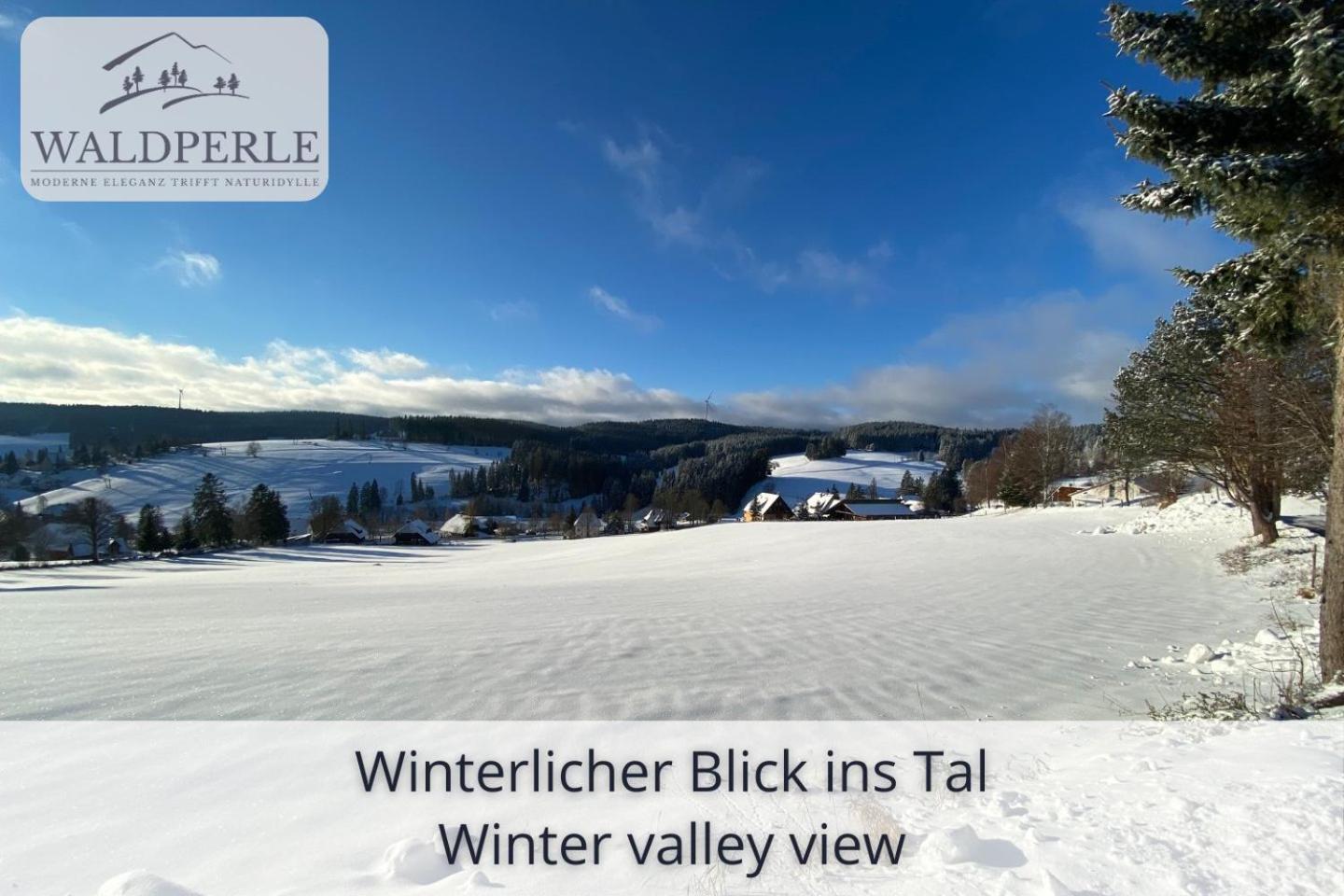 Exklusives 5-Sterne Apartment Waldperle Mit Indoor-Pool, Sauna, Top Lage Und Ausblick In Die Natur, Hunde Willkommen Schonach im Schwarzwald Exterior foto